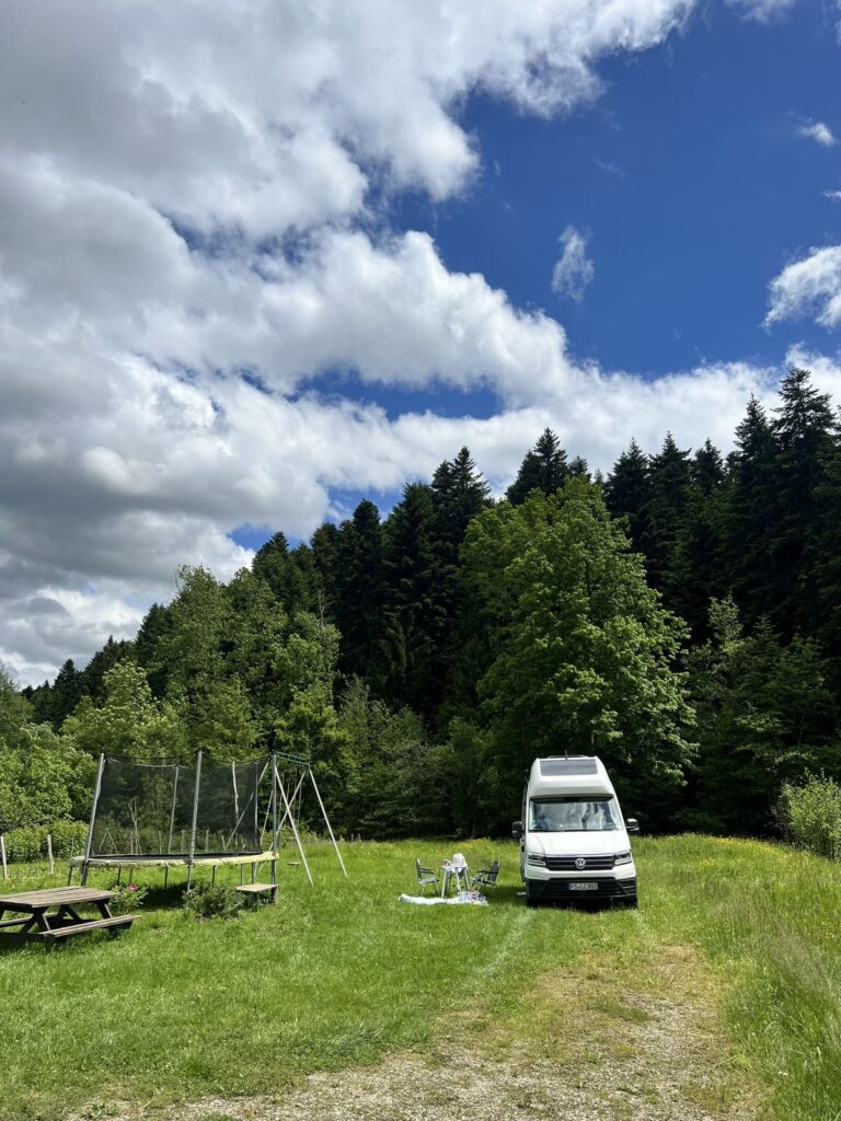 grüne Wiese vor einem Waldstück mit einem weißen Wohnmobil